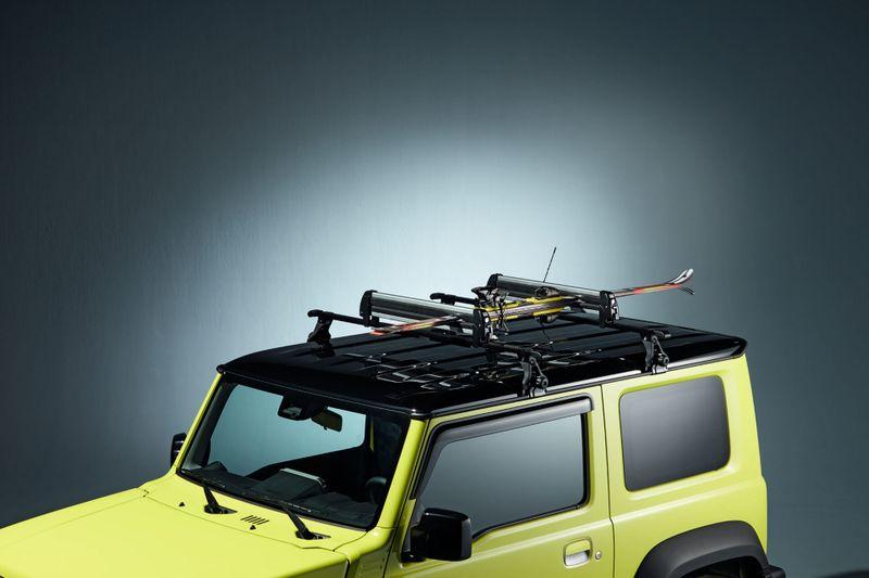 Ski / snowboard carrier module